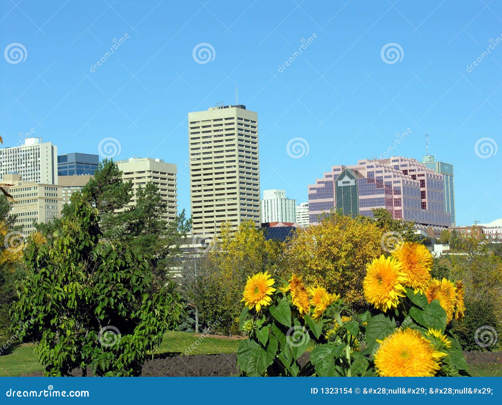 Edmonton with Flowers stock photo. Image of edmonton, colours 1323154