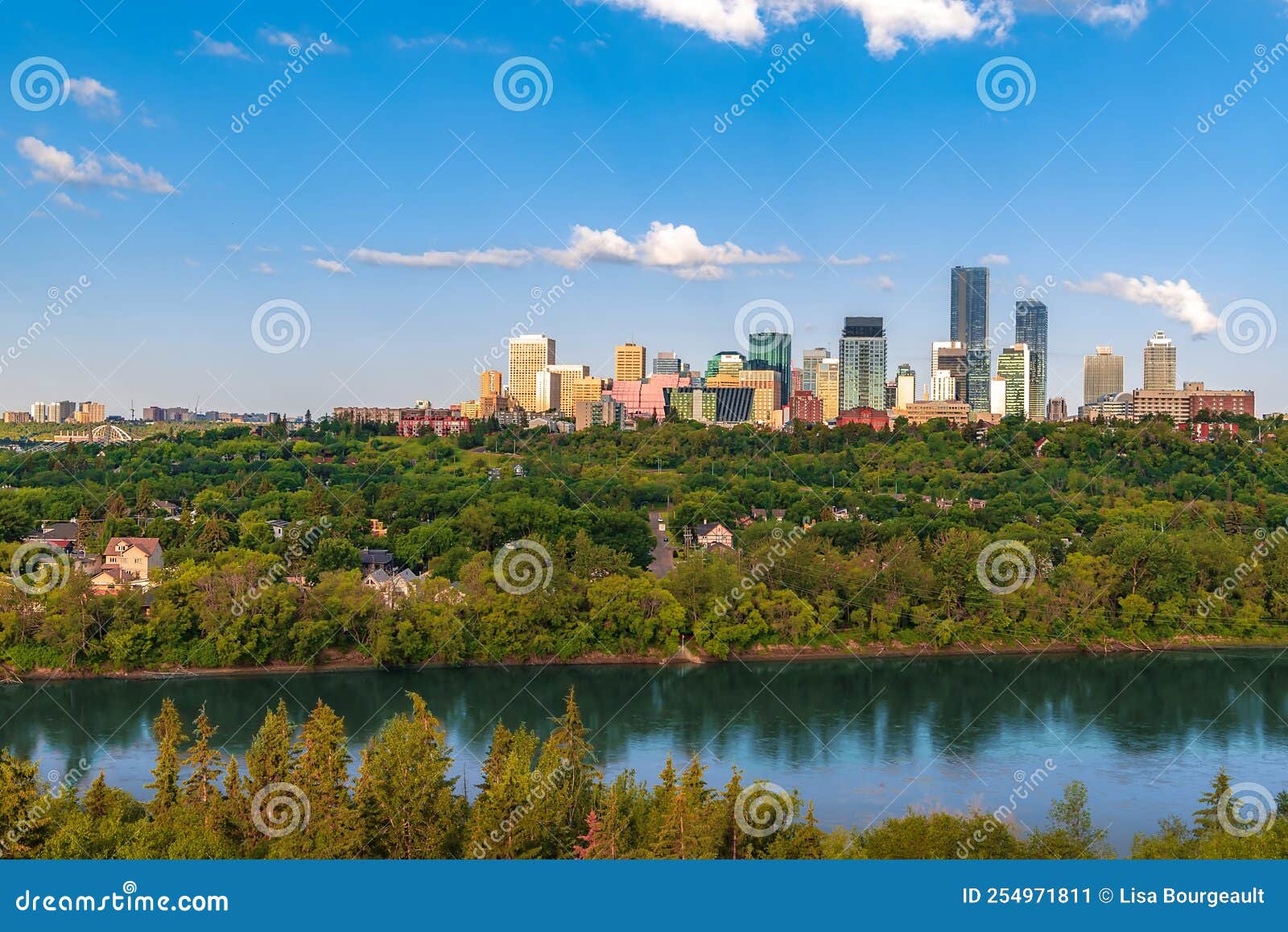 Edmonton River Valley on a Bright Summer Day Stock Image Image of