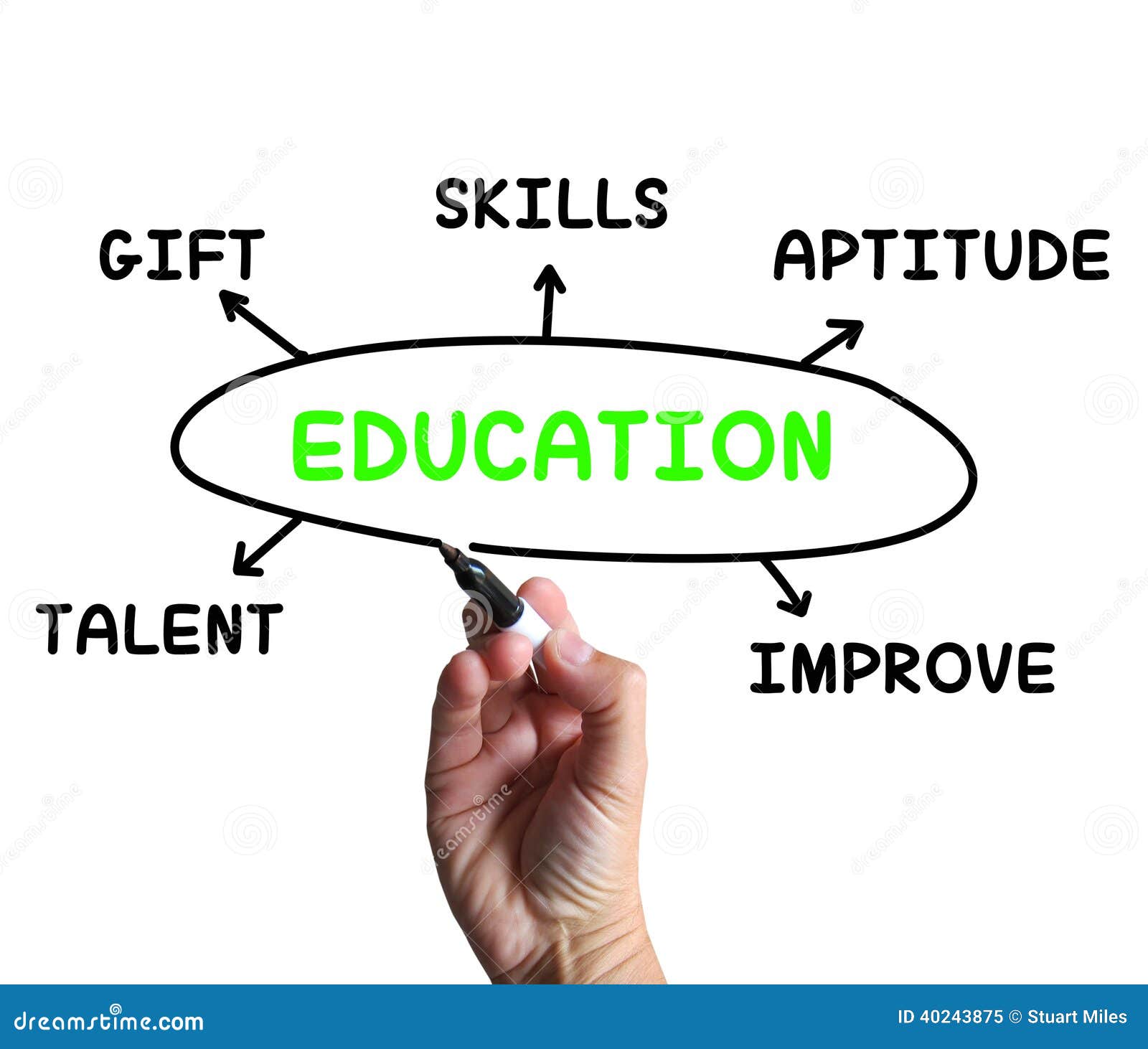 education-diagram-means-aptitude-knowledge-stock-illustration-illustration-of-study-educate