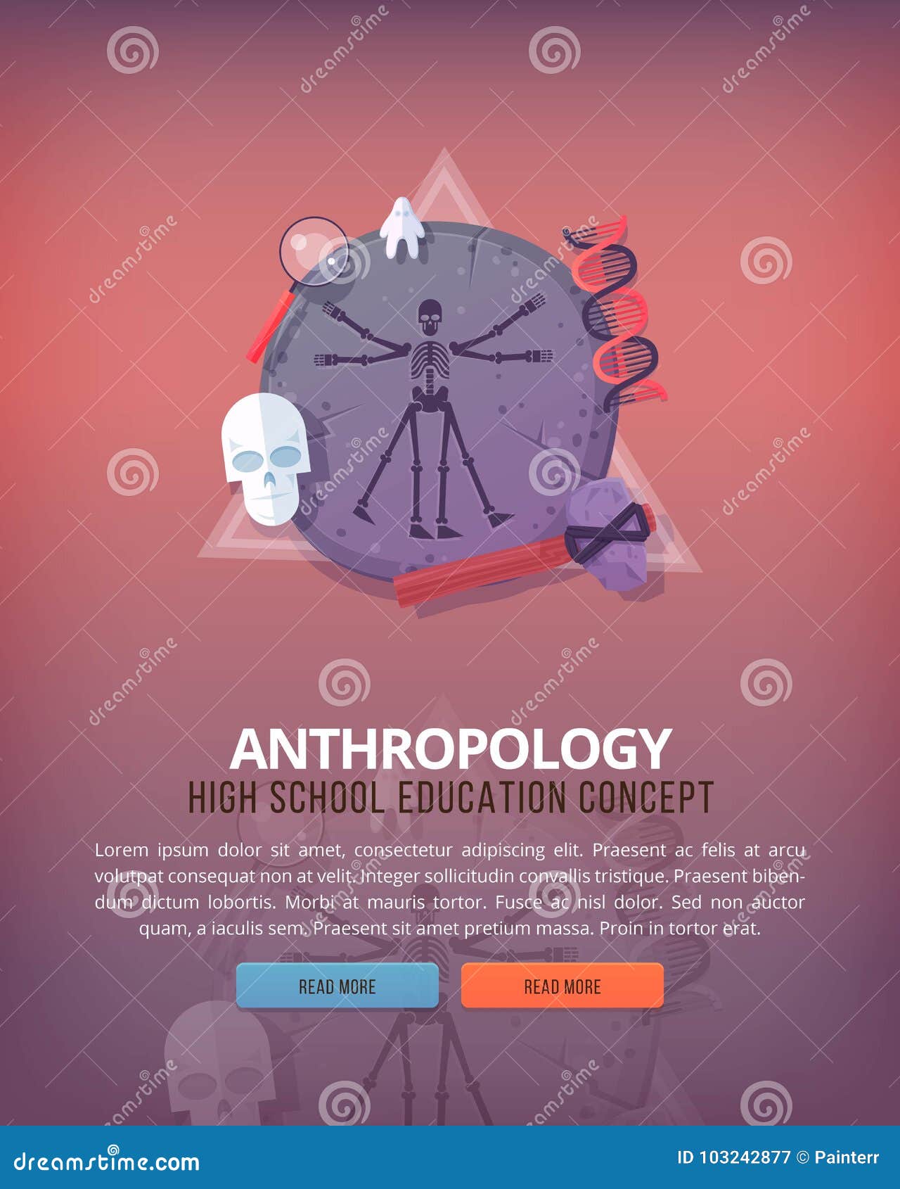 education and science concept s. anthropology . science of life and origin of species. flat  