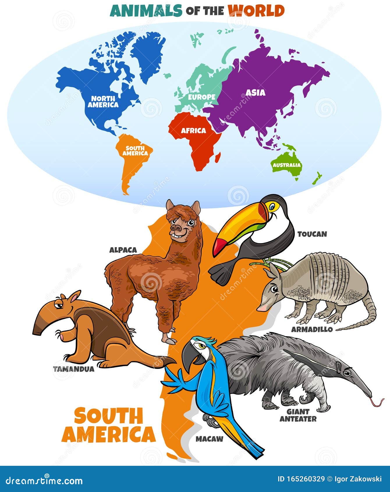 South American Animals Stock Illustrations – 338 South American Animals  Stock Illustrations, Vectors & Clipart - Dreamstime