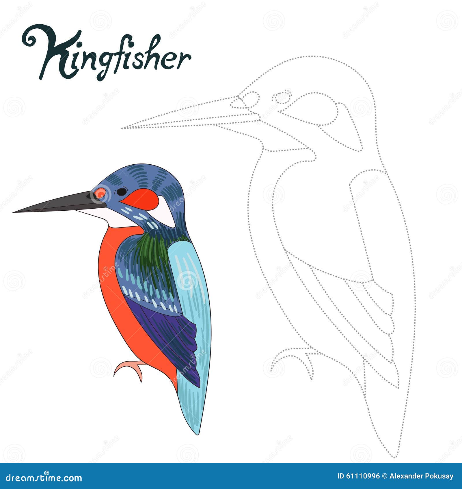 Kingfisher - graphite pencil drawing - red-amber65 - Drawings &  Illustration, Animals, Birds, & Fish, Birds, Kingfisher - ArtPal