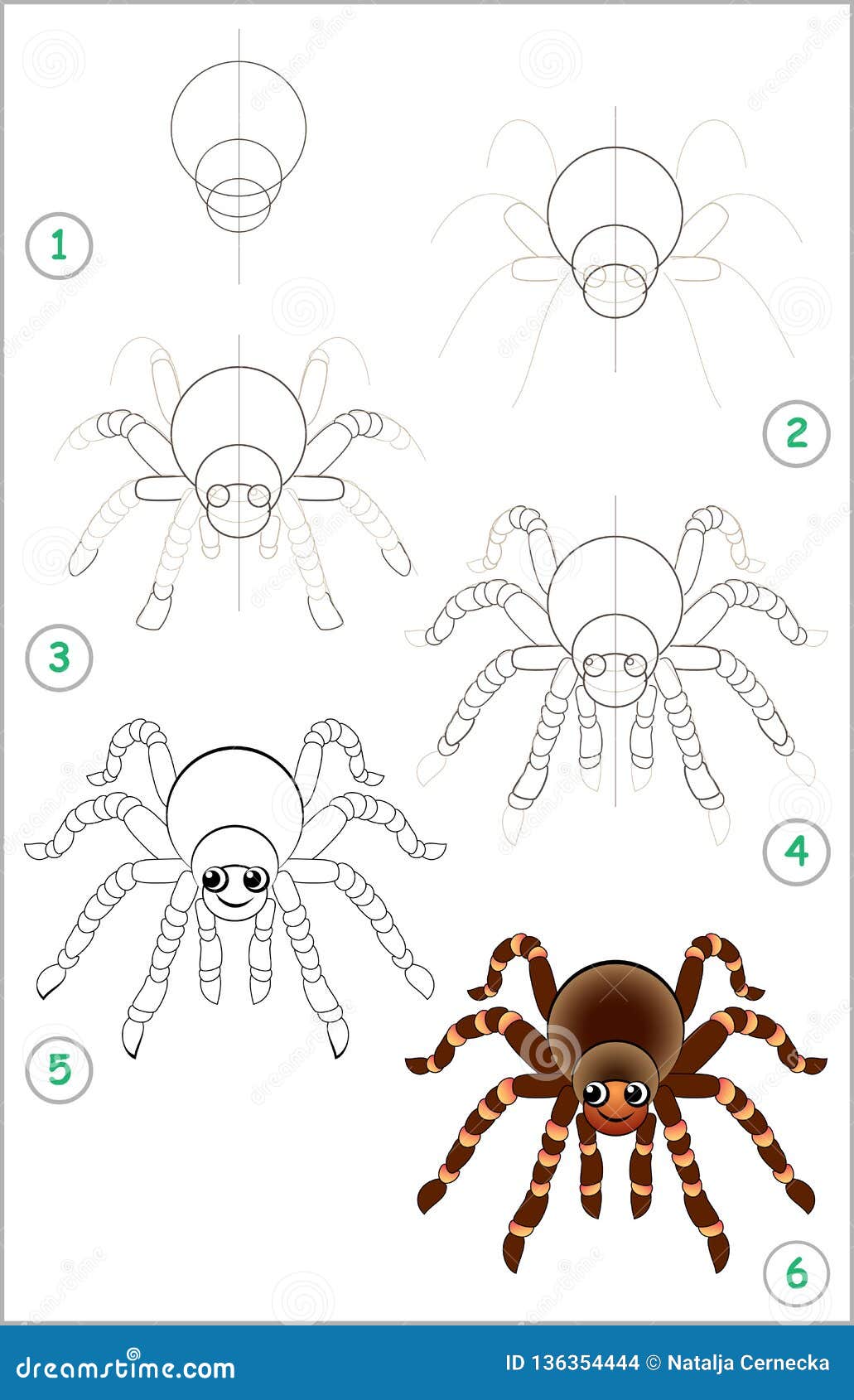 educational page kids shows how to learn step step to draw cute spider back to school developing children skills vector 136354444