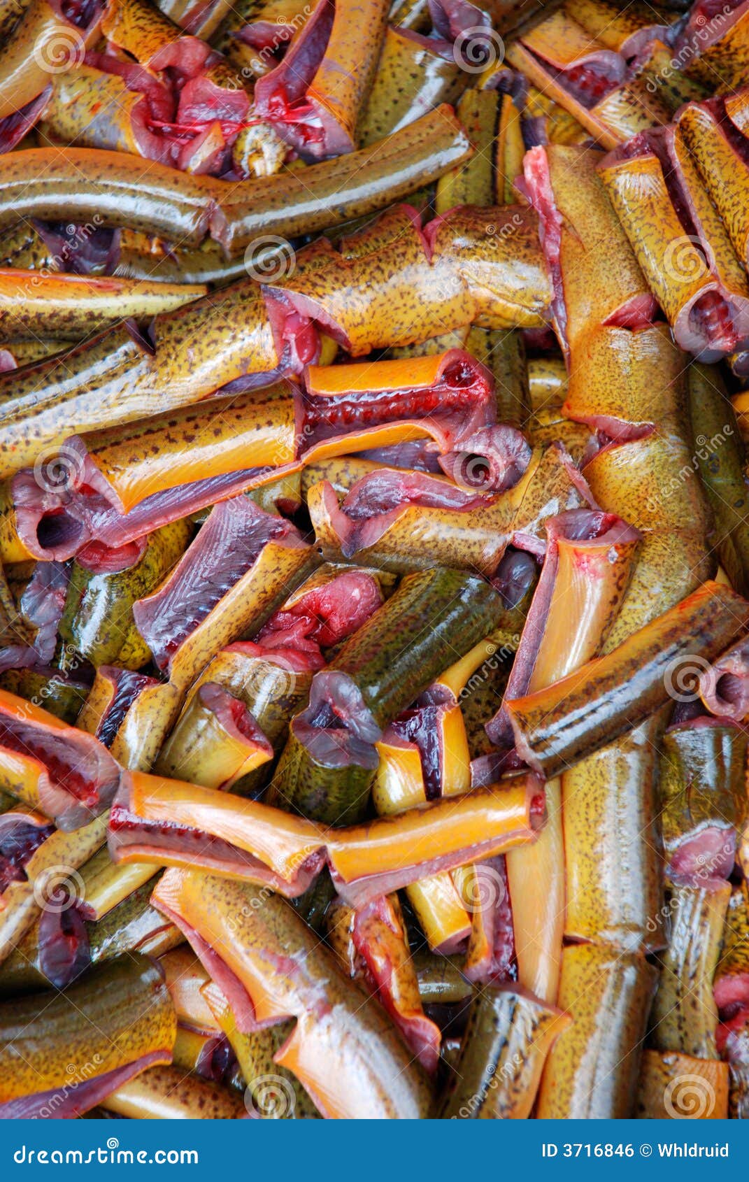 The eel meat stock photo. Image of food, shops, health - 3716846