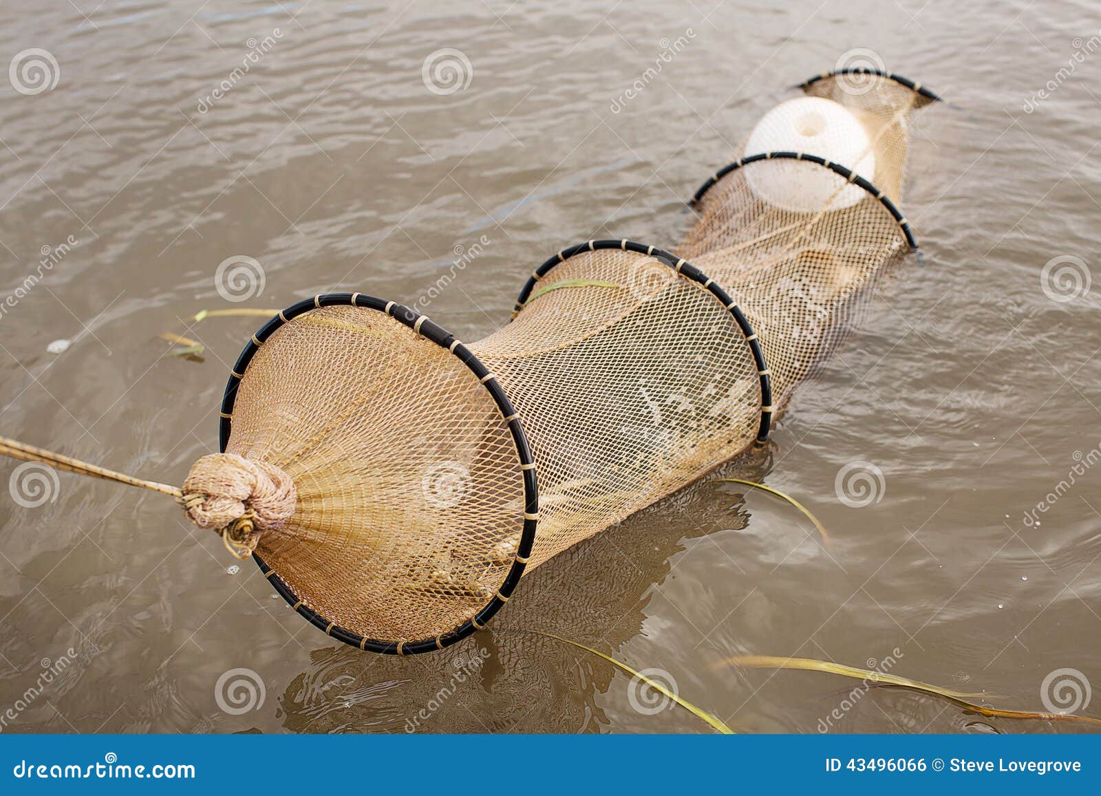 Eel Nets stock photo. Image of dinghy, lake, agriculture 43496066
