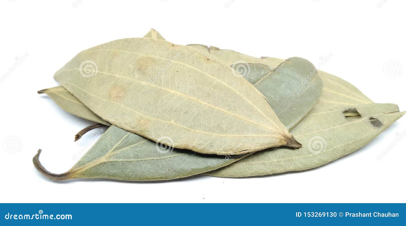 Een Beeld Van Laurierblad Op Een Witte Achtergrond Stock Foto Afbeelding Bestaande Uit Cuisine Blad 153269130