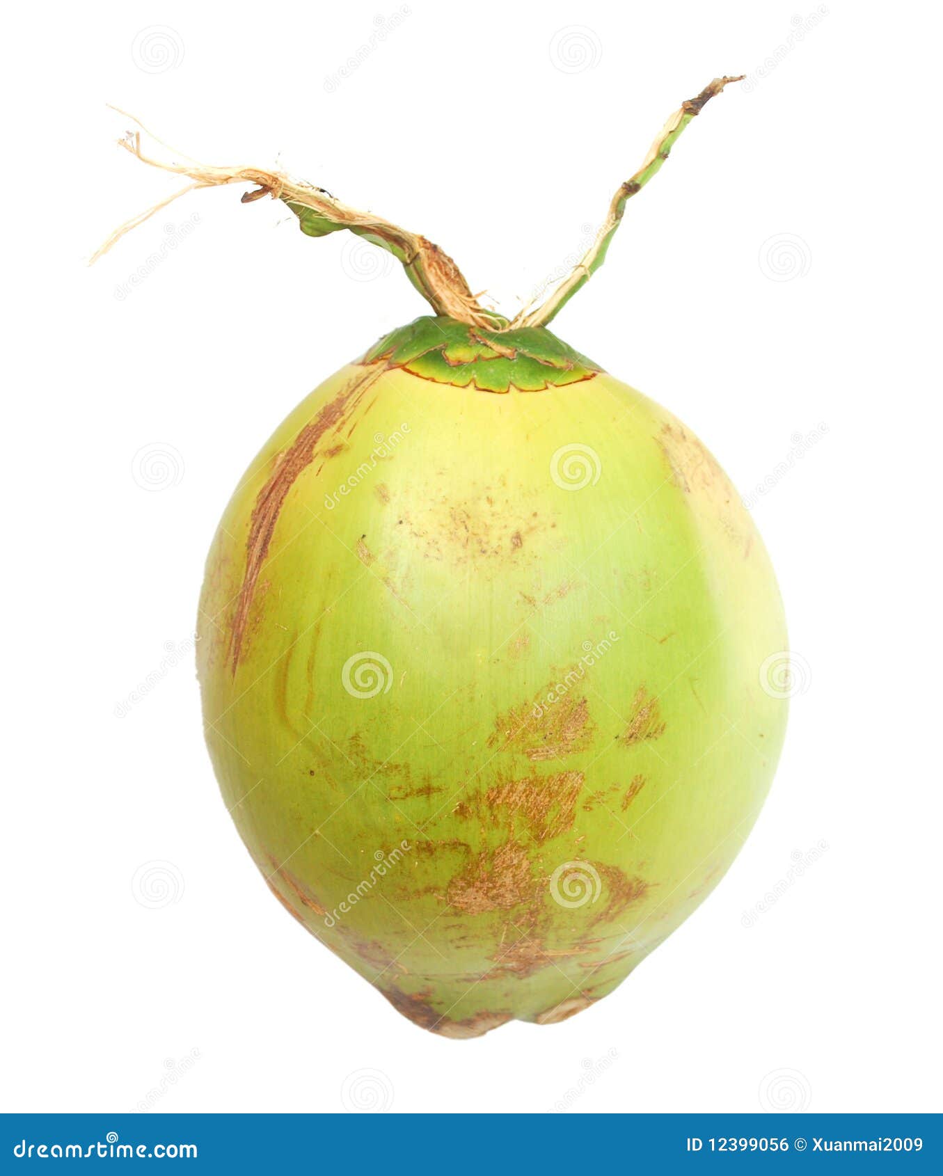 Een groene kokosnoot stock foto. Image of nave, gezond - 12399056