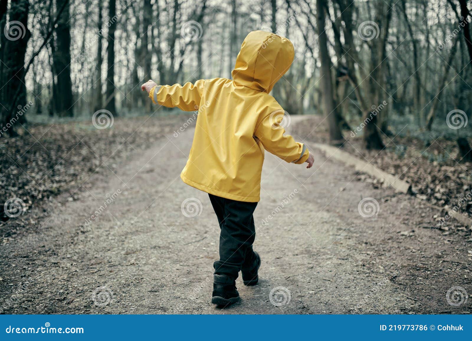 voorspelling Latijns Boer Een Klein Kind in Een Gele Regenjas Met Een Kap Loopt in Een Donker Enge  Woud Stock Foto - Image of jongen, bloem: 219773786