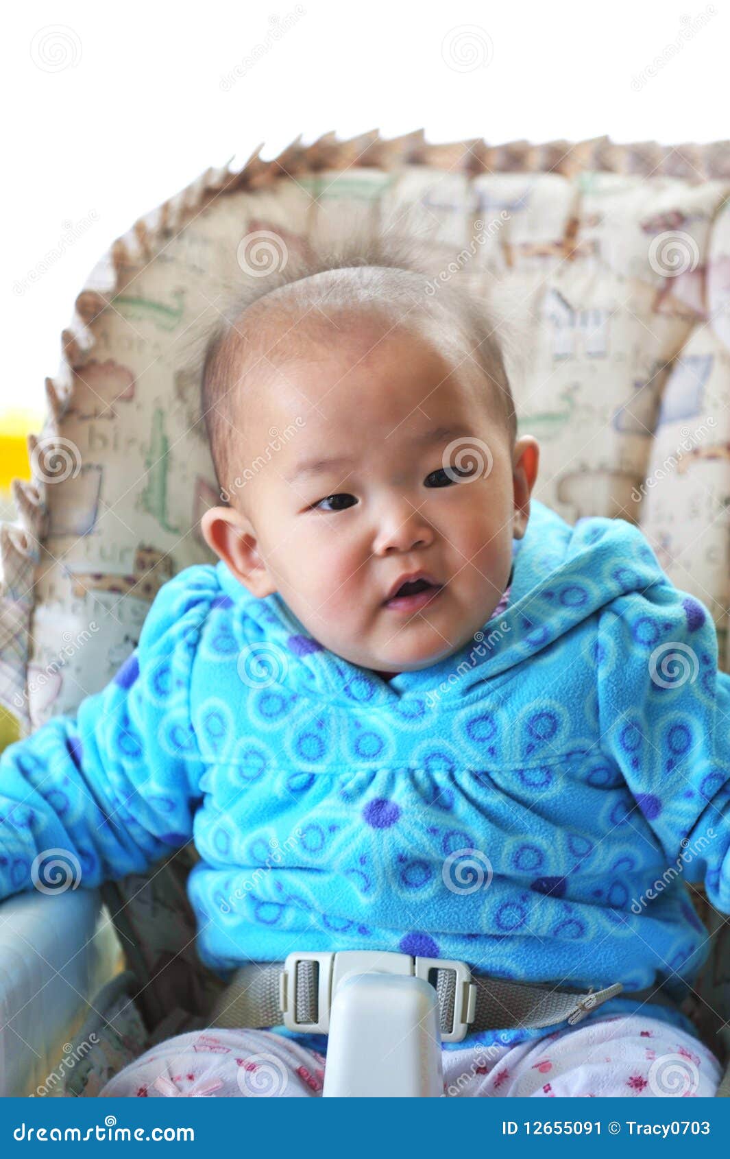 baby hoge finance baby hoge finance