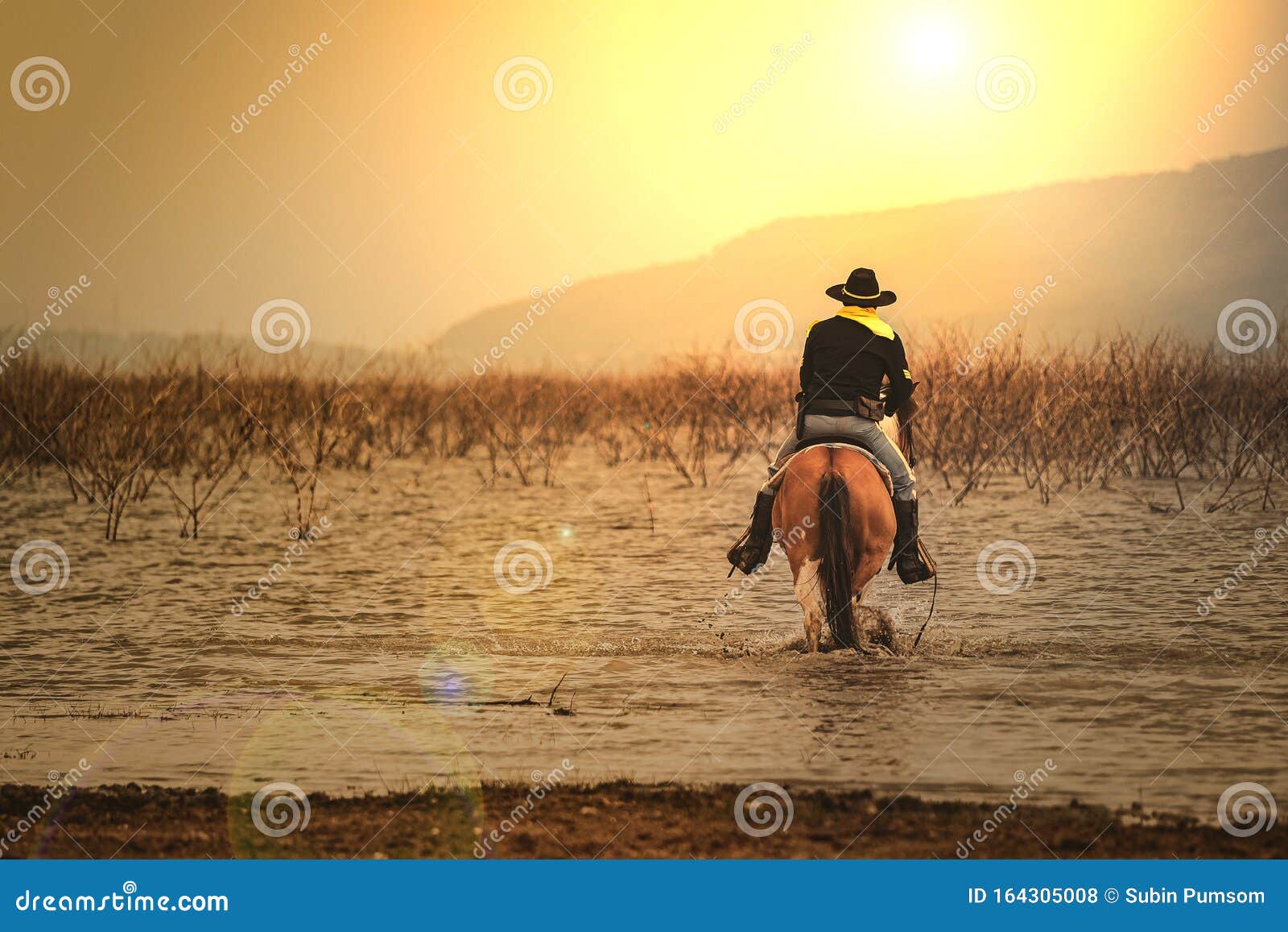 Een Man in Cowboy Kostuum Op Zijn Paard in Een Hoek Tegen De Zon Tegen Een Rivieren En Bergen Foto - Image of rivieren, hoek: 164305008