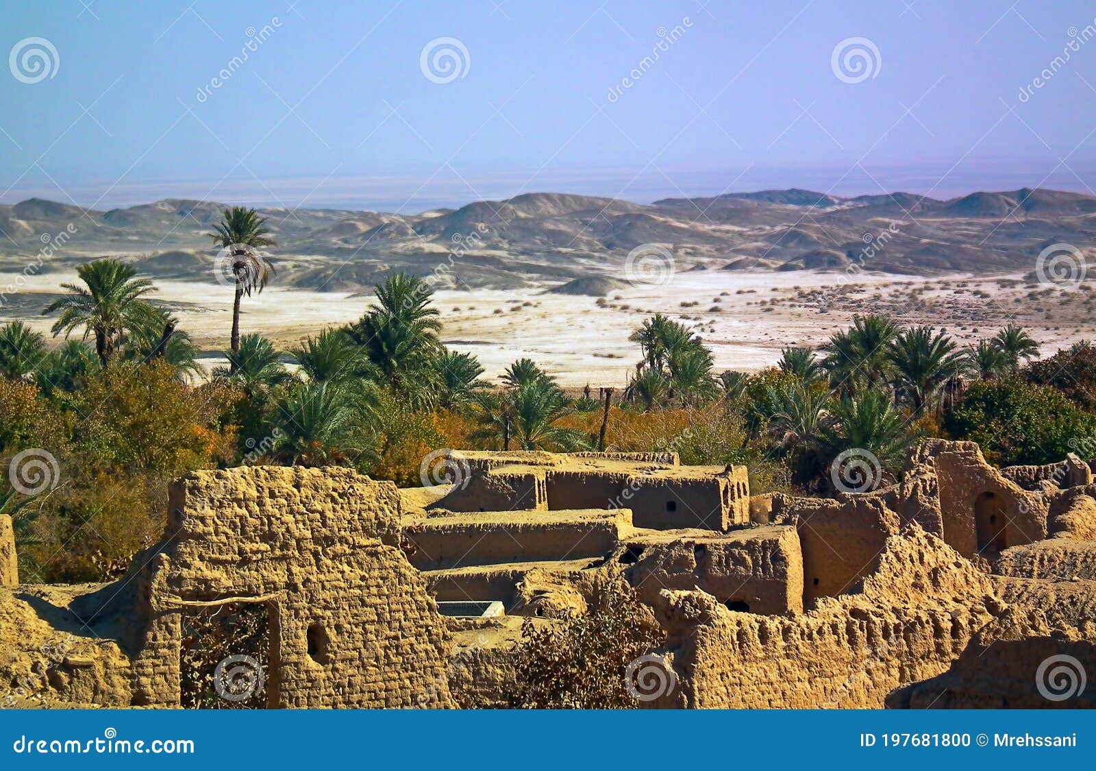 Een Oase in De Centrale Woestijn Van Iran Dagepalmen Stock Foto - Image of huizen, oase: 197681800