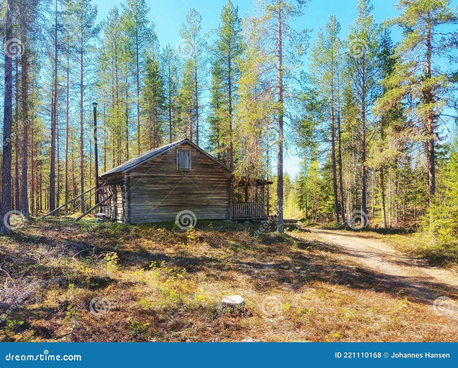 Een Blokhut in Het Zweedse Bos Stock Foto - Image of zonnig, zweeds: 221110168