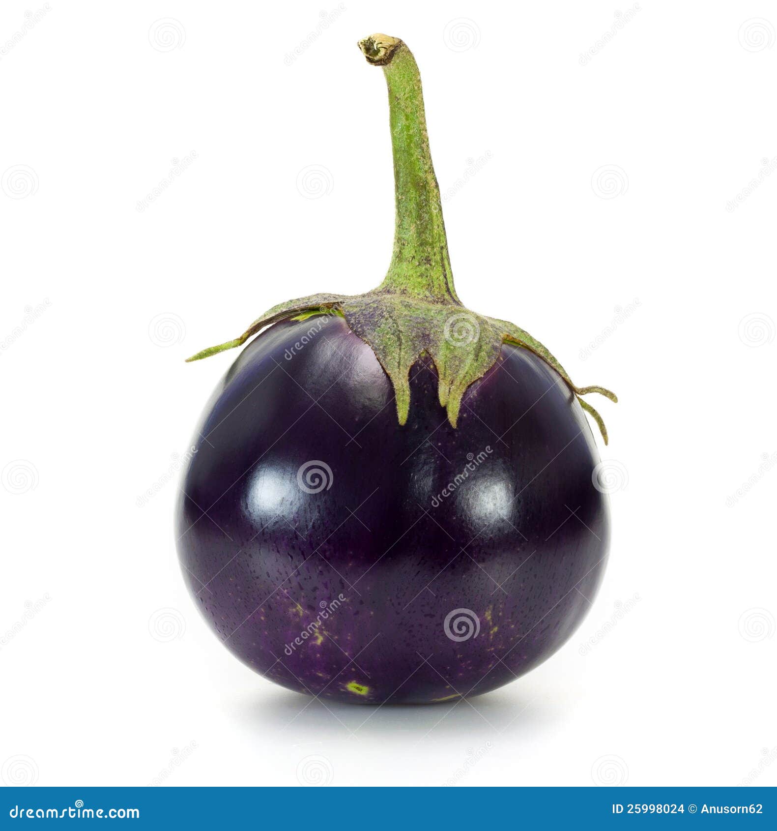 Een ronde aubergine stock foto. of vers - 25998024