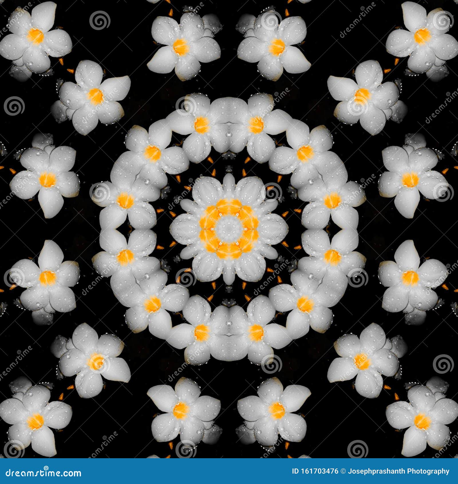 Eenvoudige Kaleidoscoop Geeft Met Witte Bloemen Uit Stock Foto - Image Of Caleidoscoop, Illustratie: 161703476