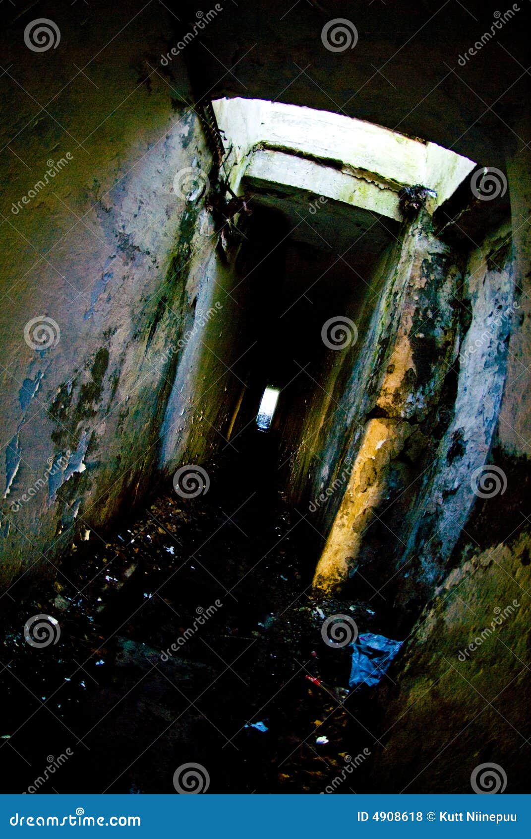 eerie catacombs