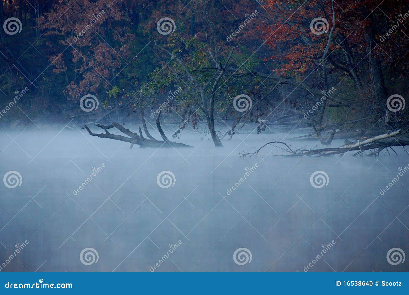 Eerie Fog Stock Photo Image 16538640