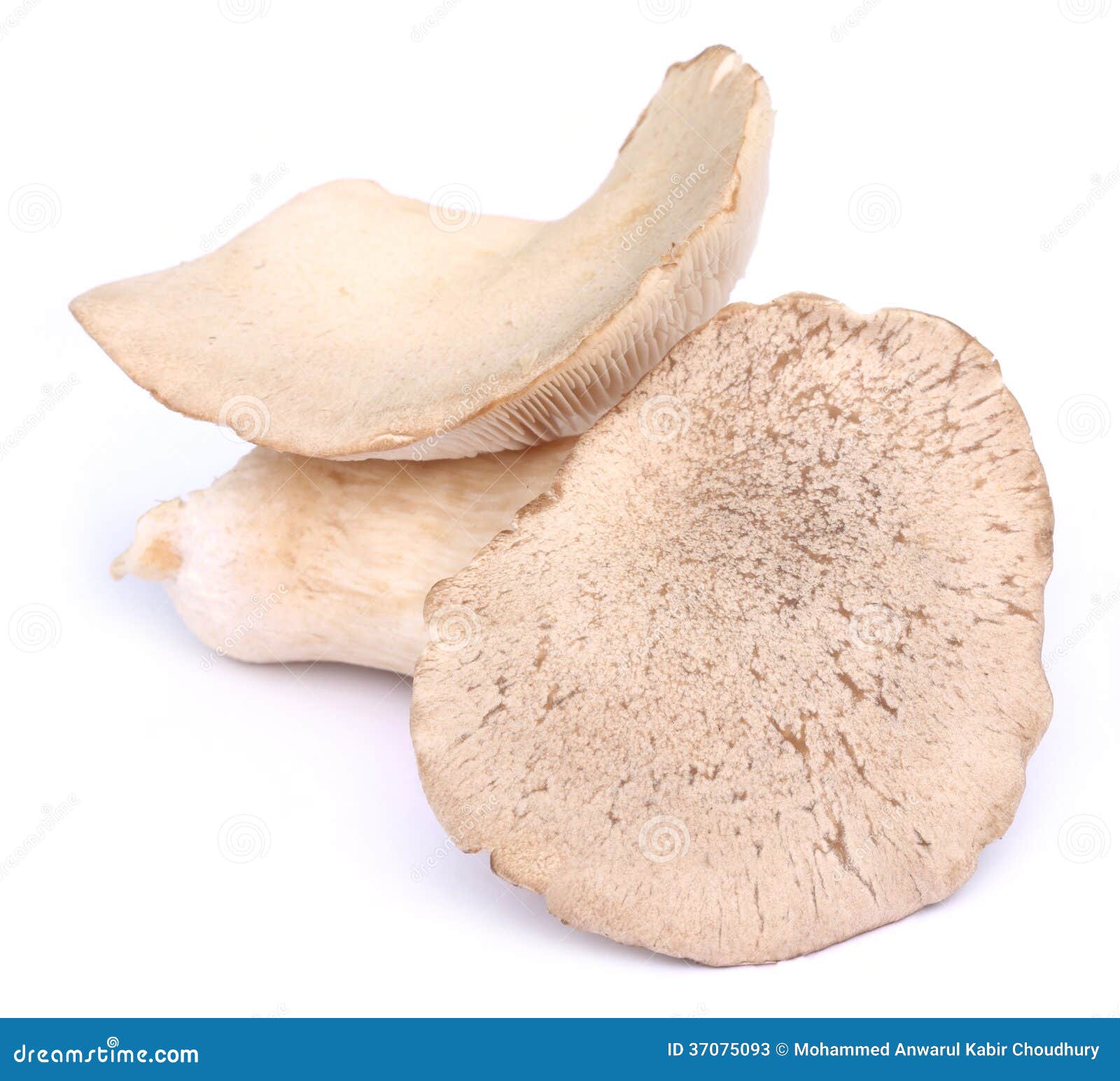 Eetbare Eryngiipaddestoel stock afbeelding. Image of diner 37075093