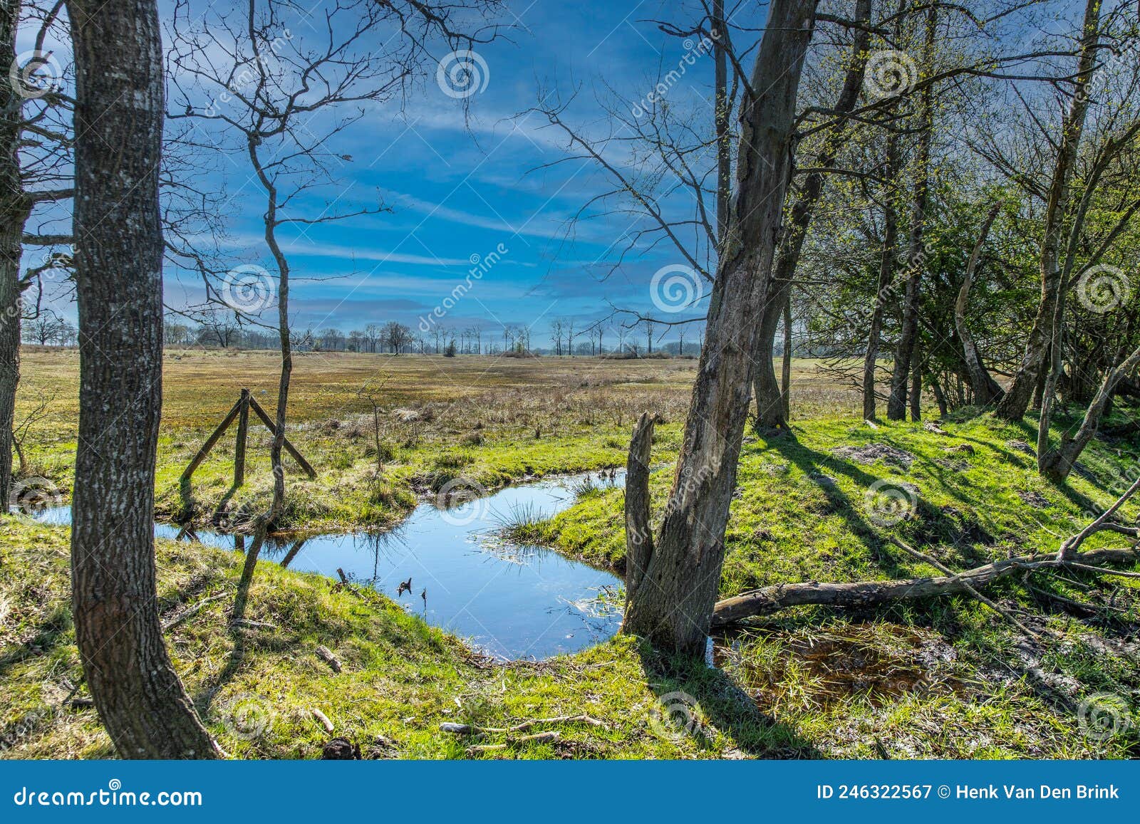 eexterveld nature reserve in spring between anderen and eext tree-covered ring wall