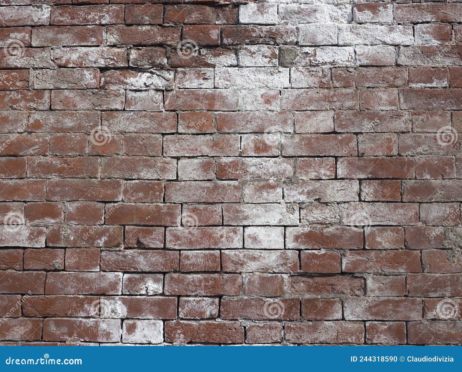 Efflorescence on Brick Wall Stock Photo Image of site, damage 244318590