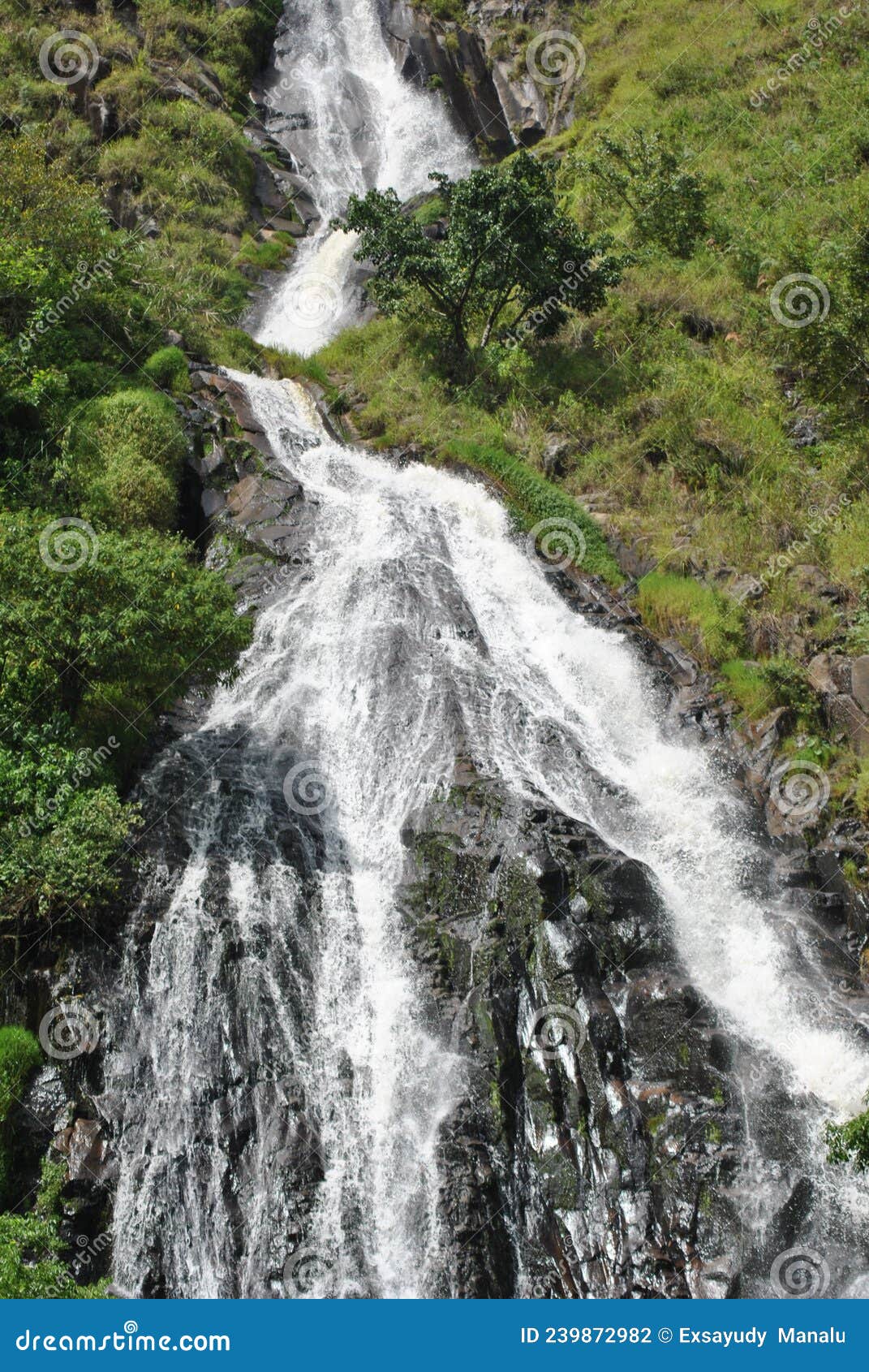 efrata waterfall decorated with greenery around it makes it look natural