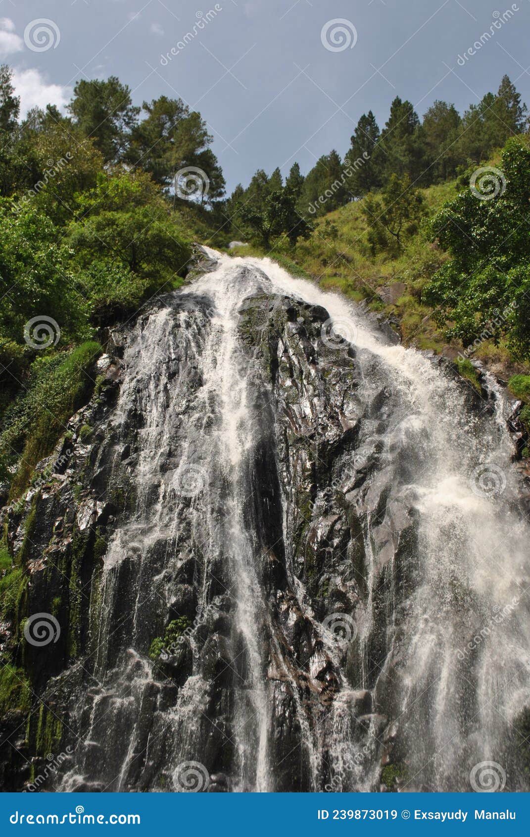 efrata waterfall decorated with greenery around it makes it look natural