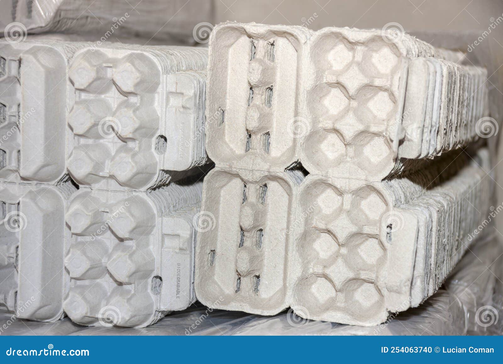 Egg cartons stock photo. Image of product, carton, produce 254063740