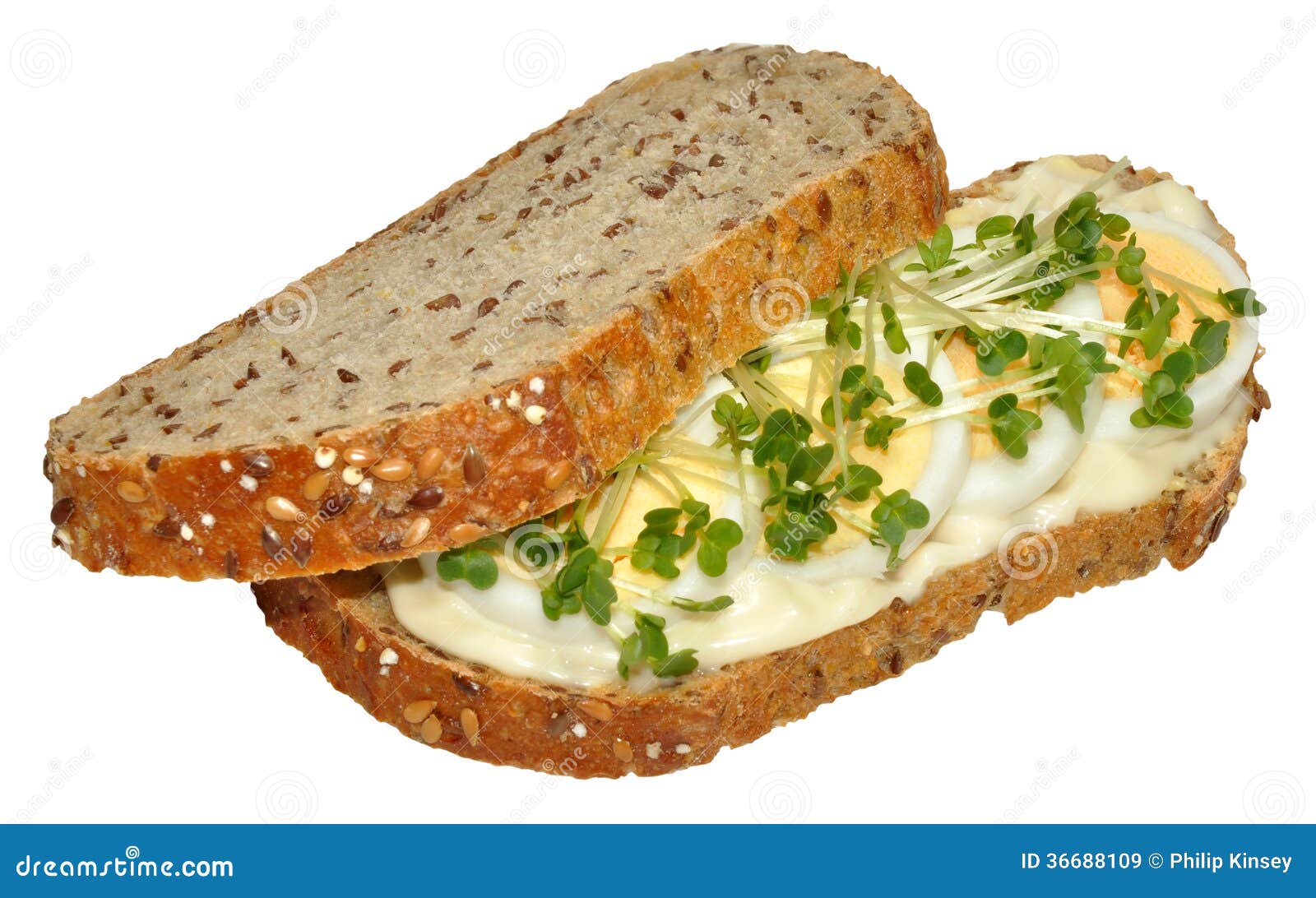 Egg And Cress Sandwich Royalty Free Stock Photography CartoonDealer egg-and-cress-sandwich-royalty-free-stock-photography-cartoondealer