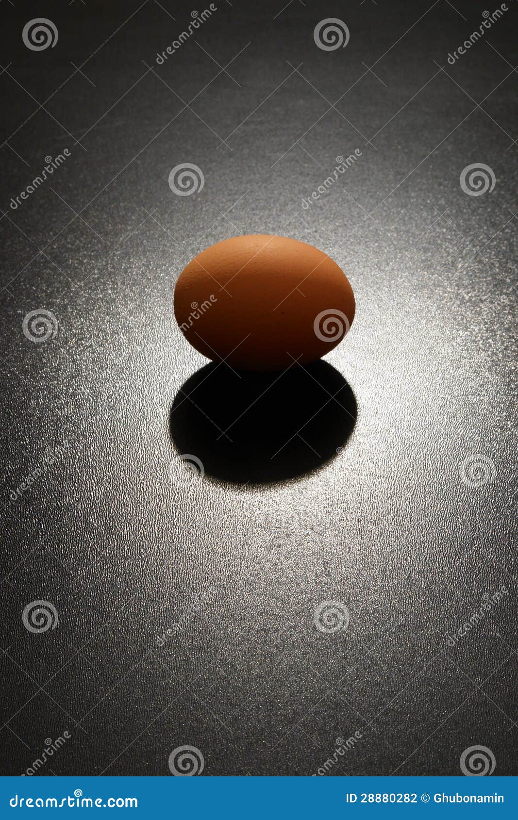 Egg dramatic light stock photo. Image of nutrition, fertility 28880282