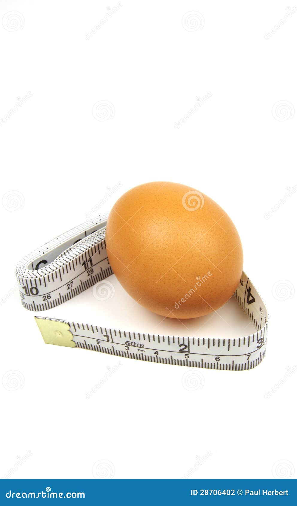 Egg and measuring tape stock photo. Image of measurement 28706402
