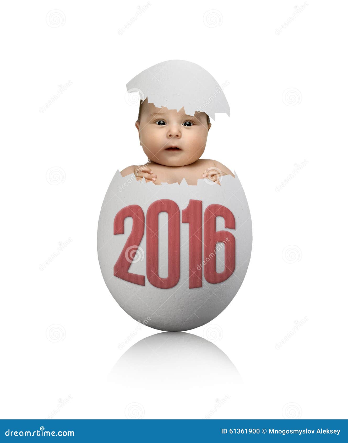 Egg stock photo. Image of celebration, crack, delivery 61361900