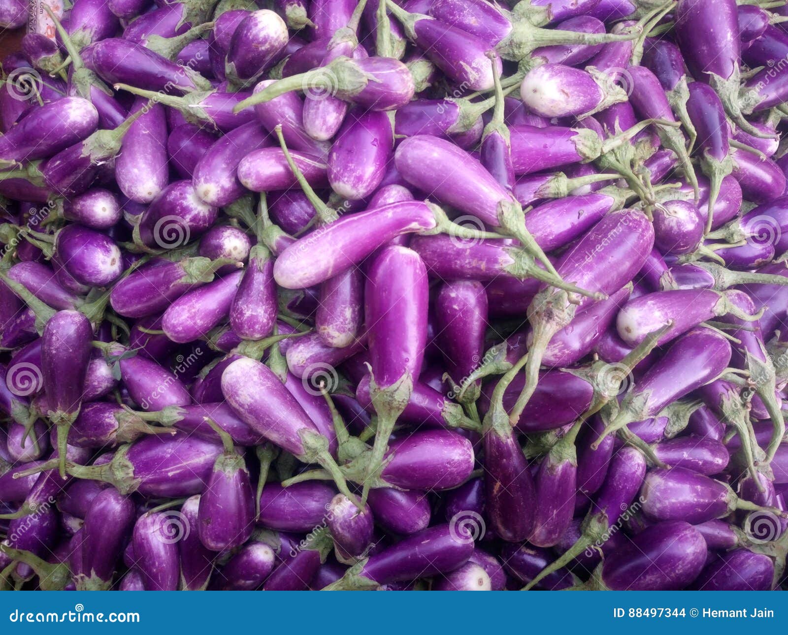 Egg plant for sale stock photo. Image of plant, commodity 88497344