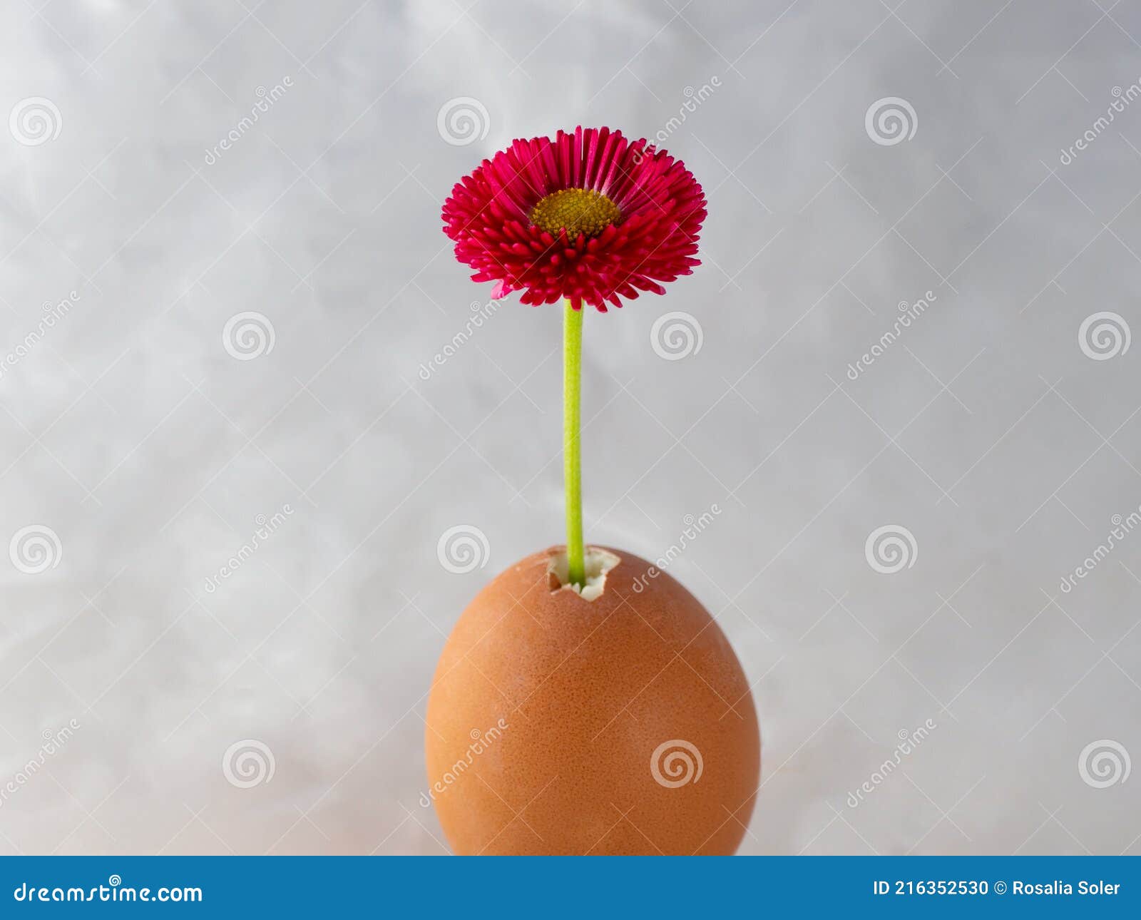 egg with a red flower
