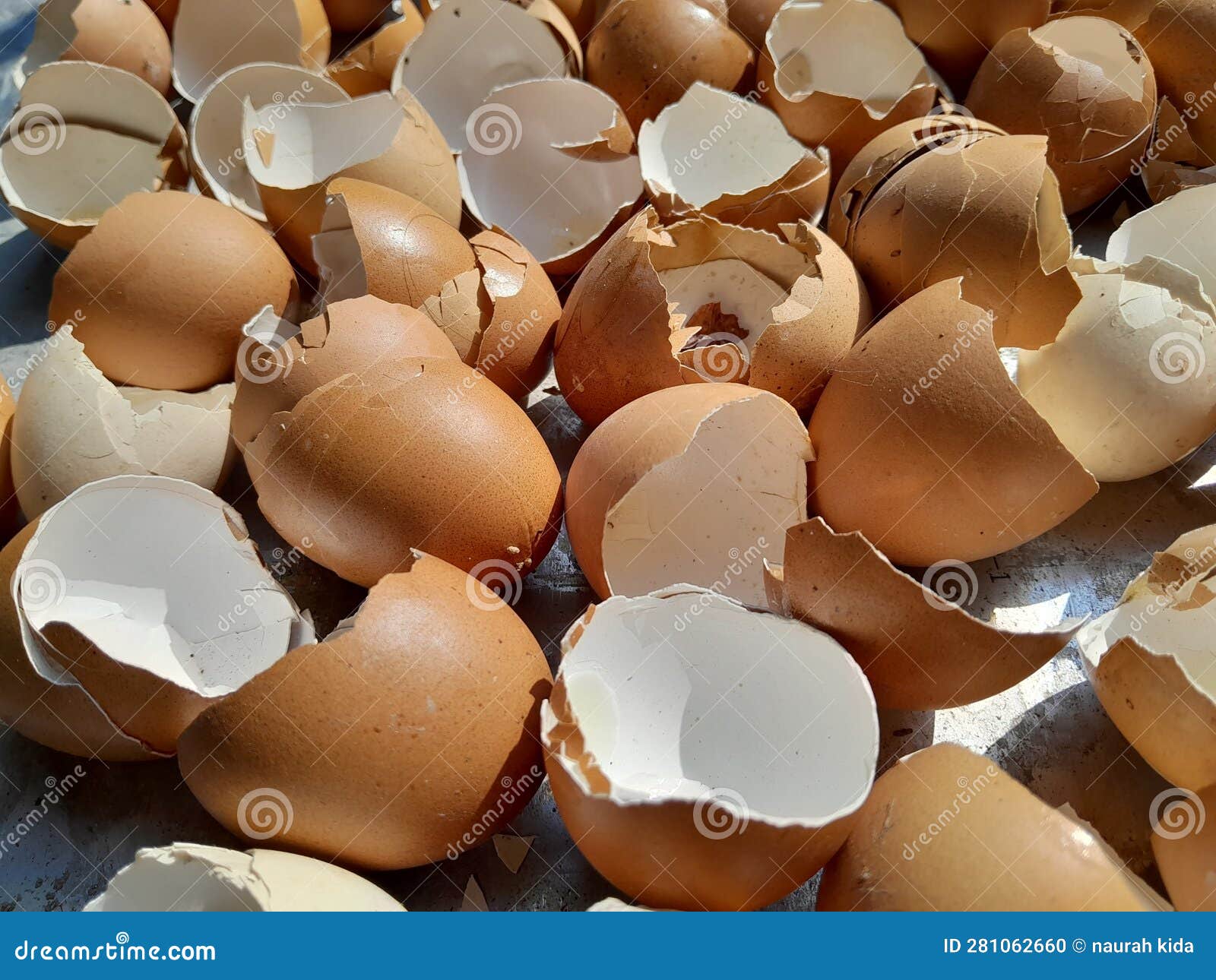 Egg Shells Dried in the Sun. Chicken Egg Shells Contain Calcium Which