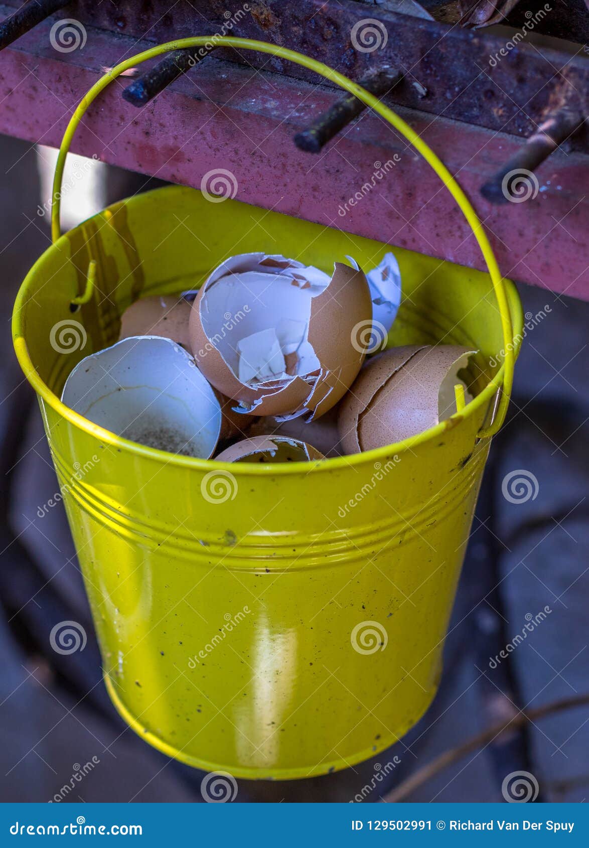 Egg Shells For Garden Compost Stock Image Image Of Management
