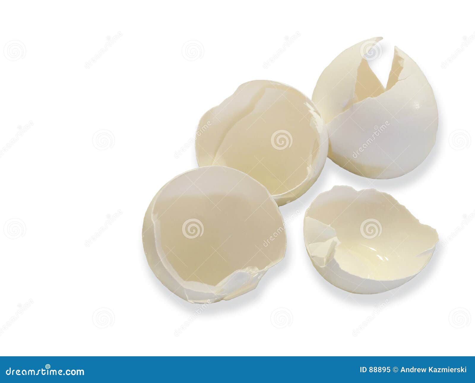 egg shells on white