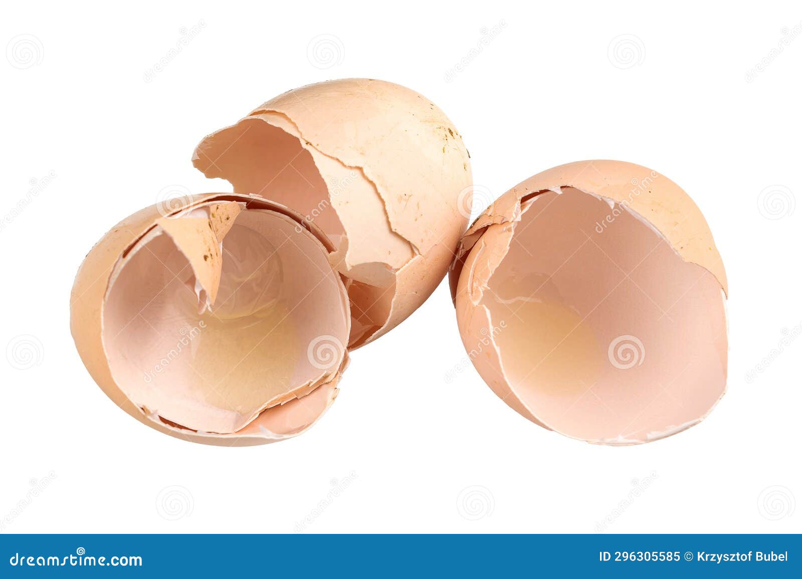 Egg Shells on White Isolated Background Stock Image Image of natural
