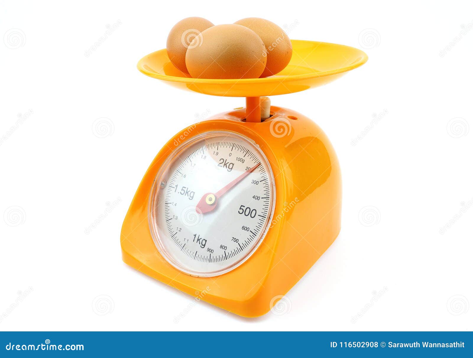 Egg Scale