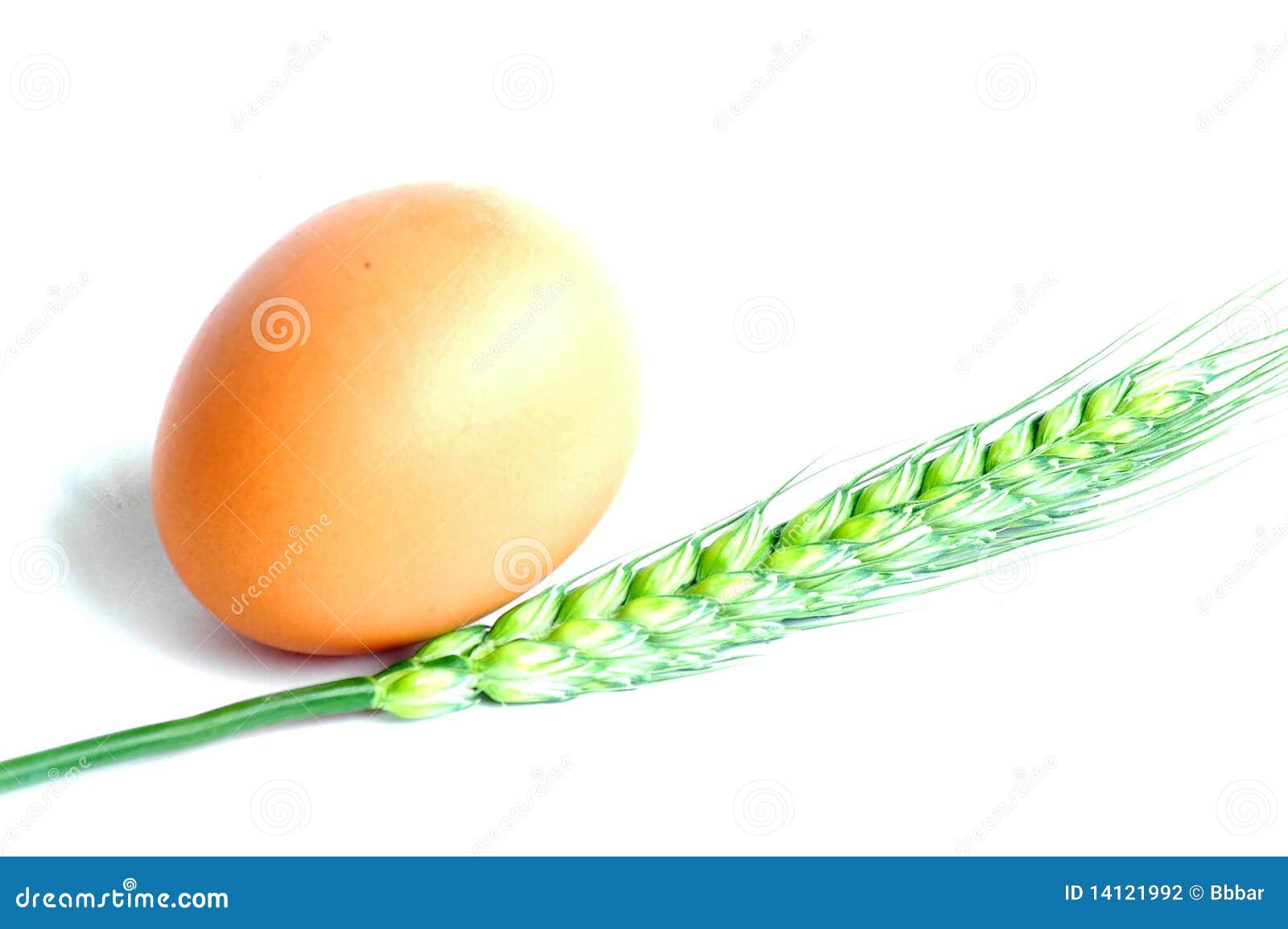 Egg and wheat stock photo. Image of background, grain 14121992