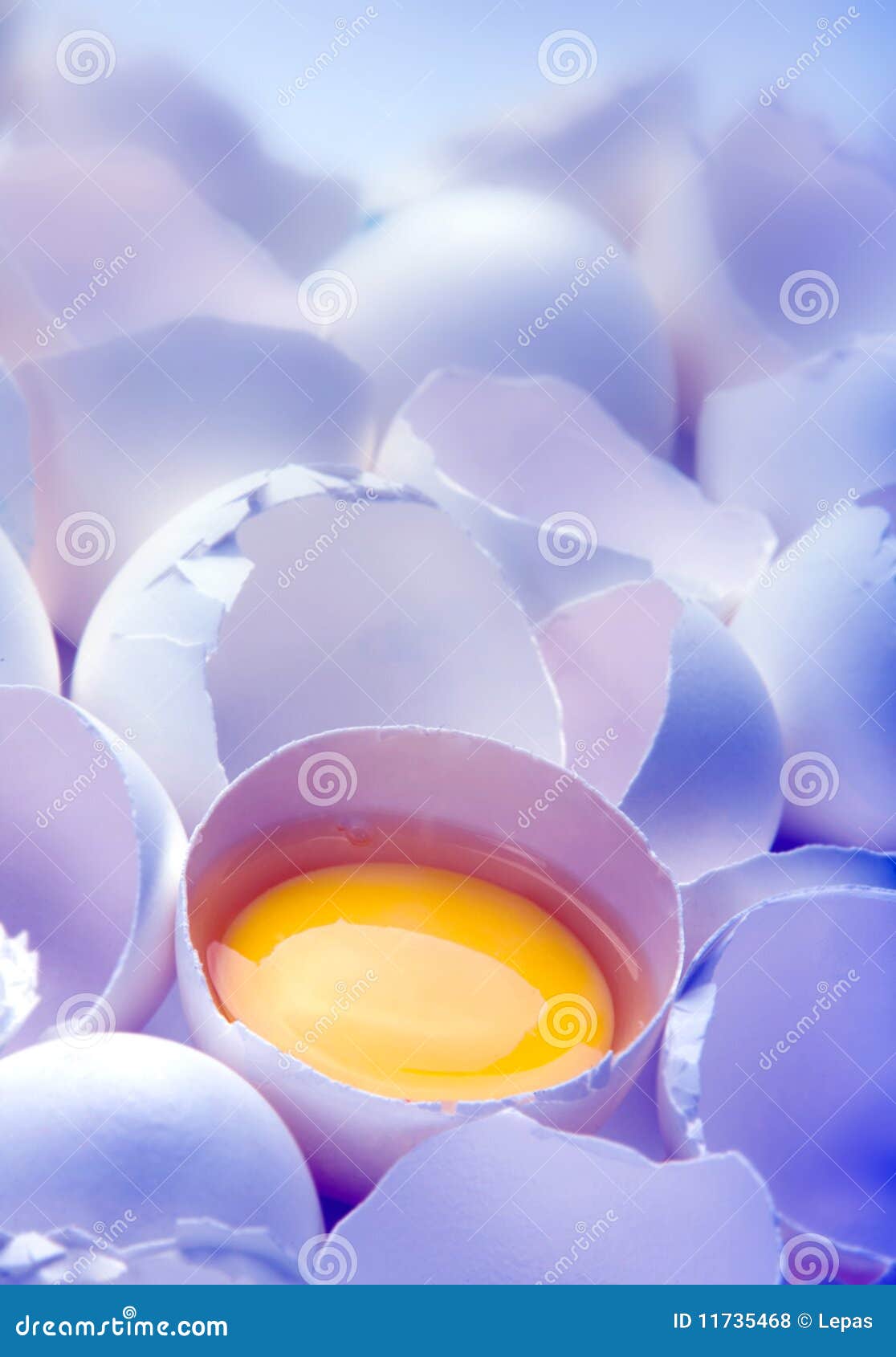 Egg yolk in blue stock photo. Image of yellow, closeup 11735468