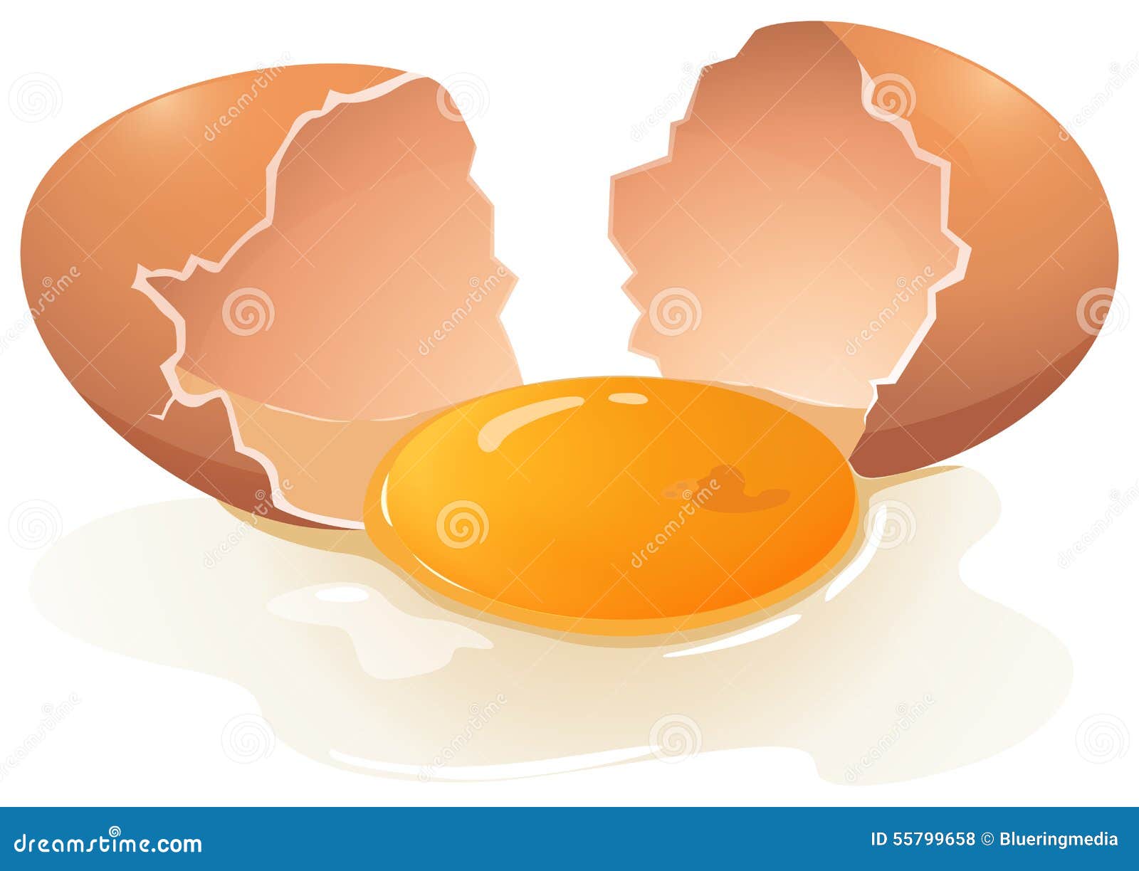 Egg yolk stock vector. Illustration of alone, foods, yolk 55799658