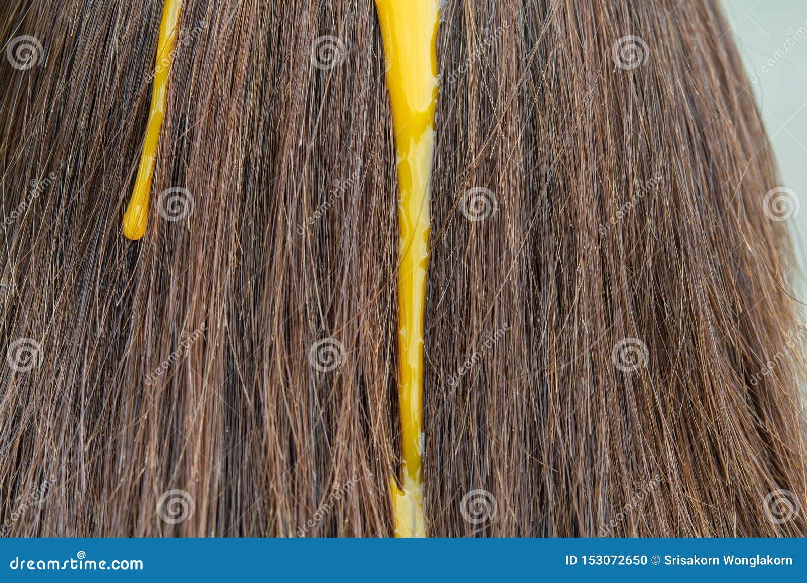 Egg Yolk and Hair Treatment Stock Photo - Image of haircare, homemade: 153072650 Egg Yolk and Hair Treatment Stock Photo - Image of haircare, homemade: 153072650
