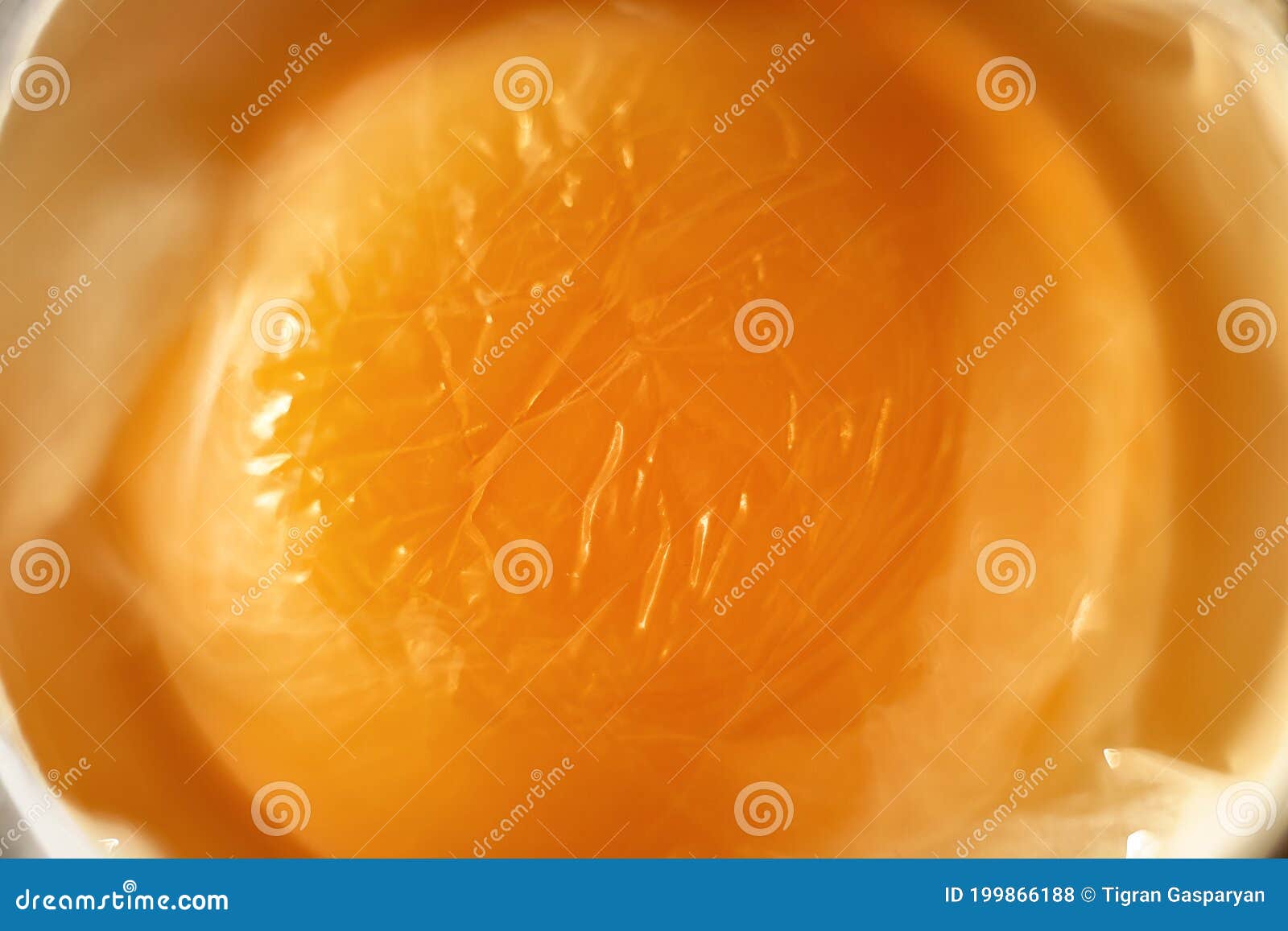 Egg yolk macro closeup stock photo. Image of ingredient 199866188