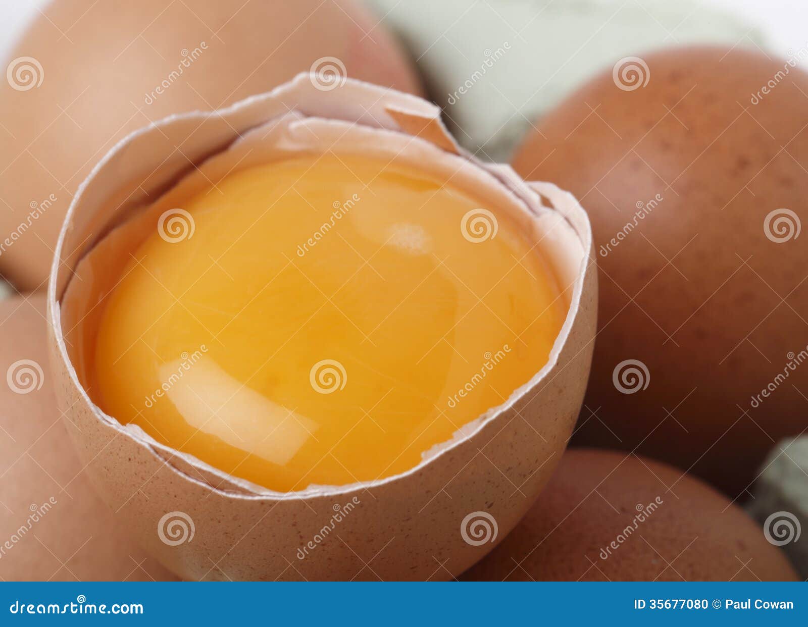 Egg yolk macro stock photo. Image of freerange, separated 35677080