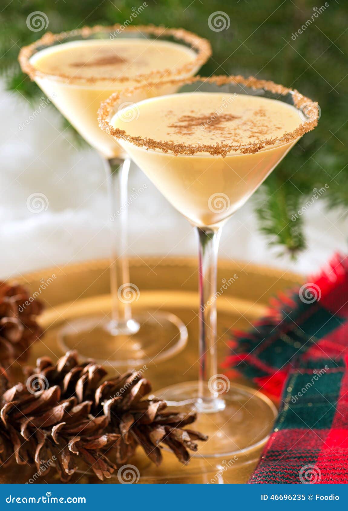 Eggnog Martini stock image. Image of sprinkle, christmas - 46696235