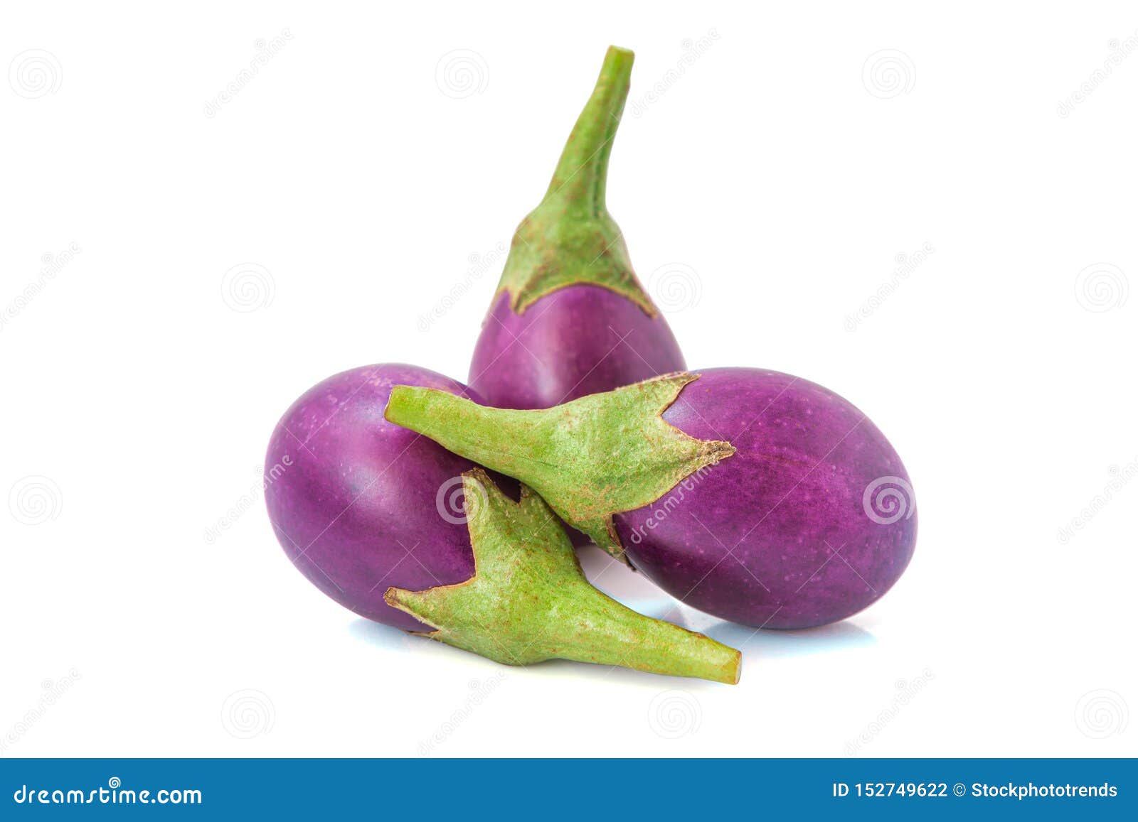 Eggplant. Fresh Light Purple Eggplant Isolated Stock Photo Image of