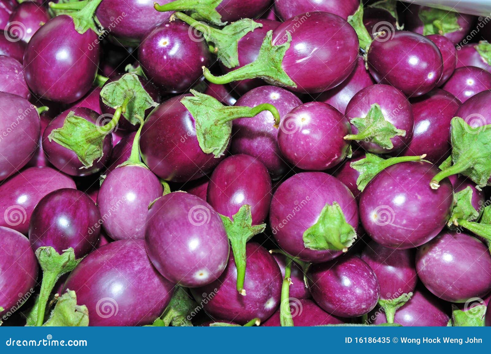 Eggplant fruit stock image. Image of healthy, foods, edible 16186435