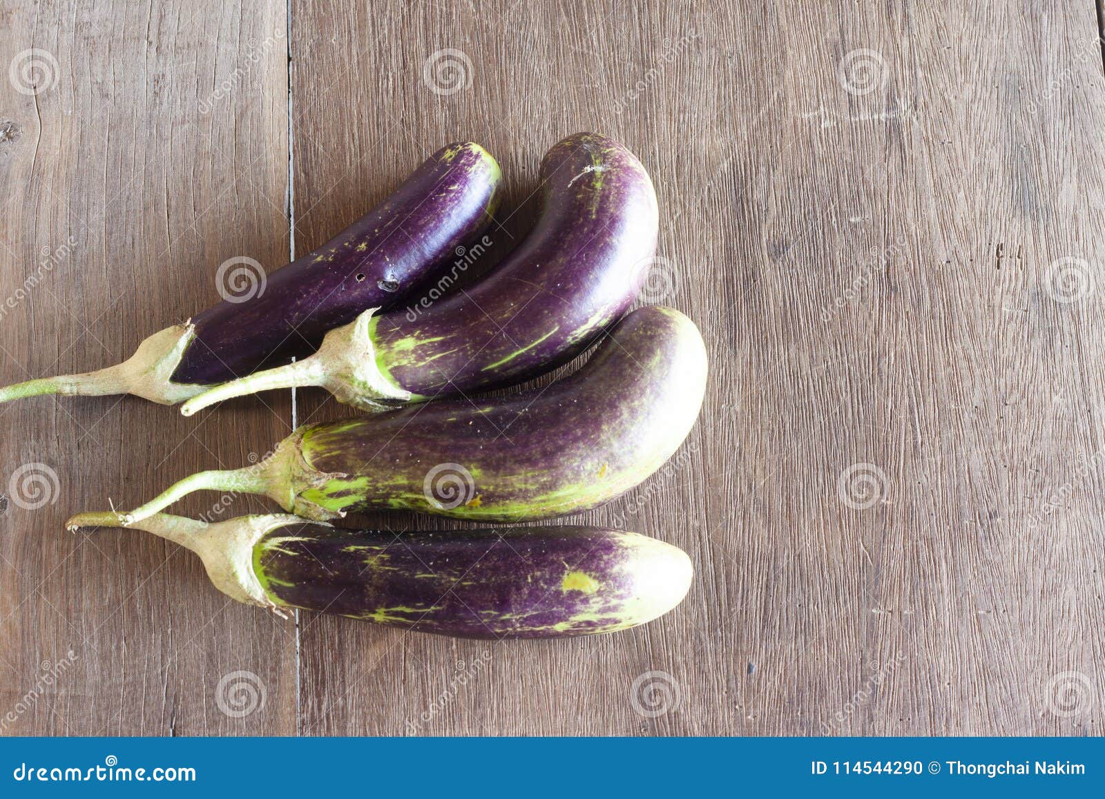 Eggplant fruit type long. stock photo. Image of cutout 114544290