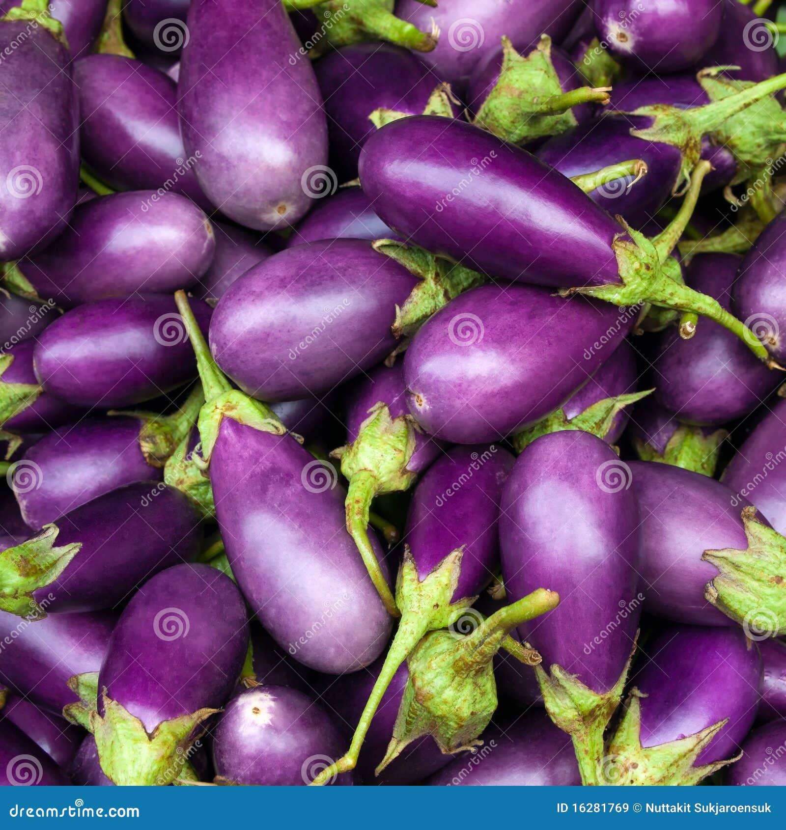 Eggplant Purple Royalty Free Stock Images Image 16281769