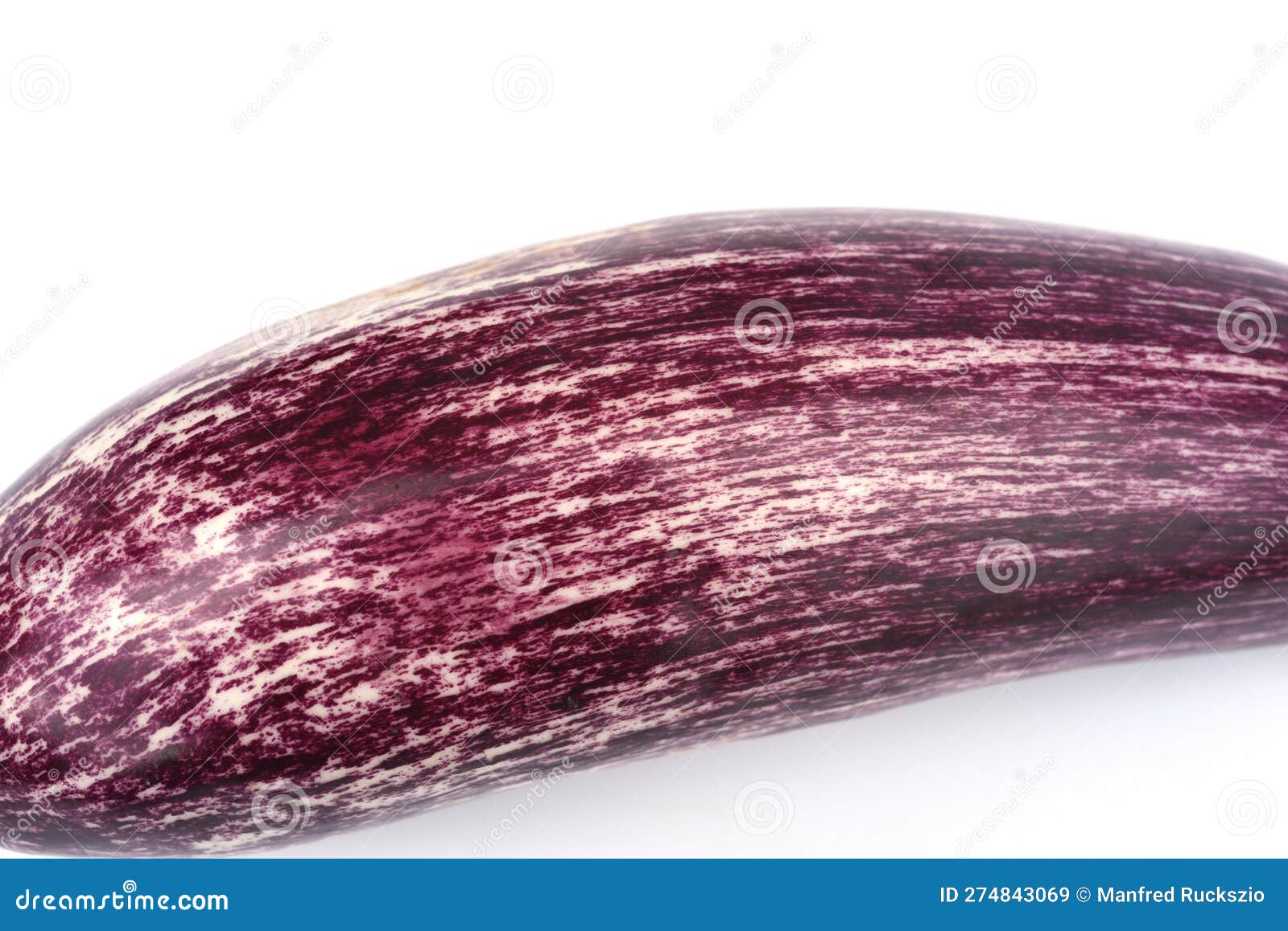 Eggplant, Solanum, Melongena Stock Image Image of home, melongena 274843069