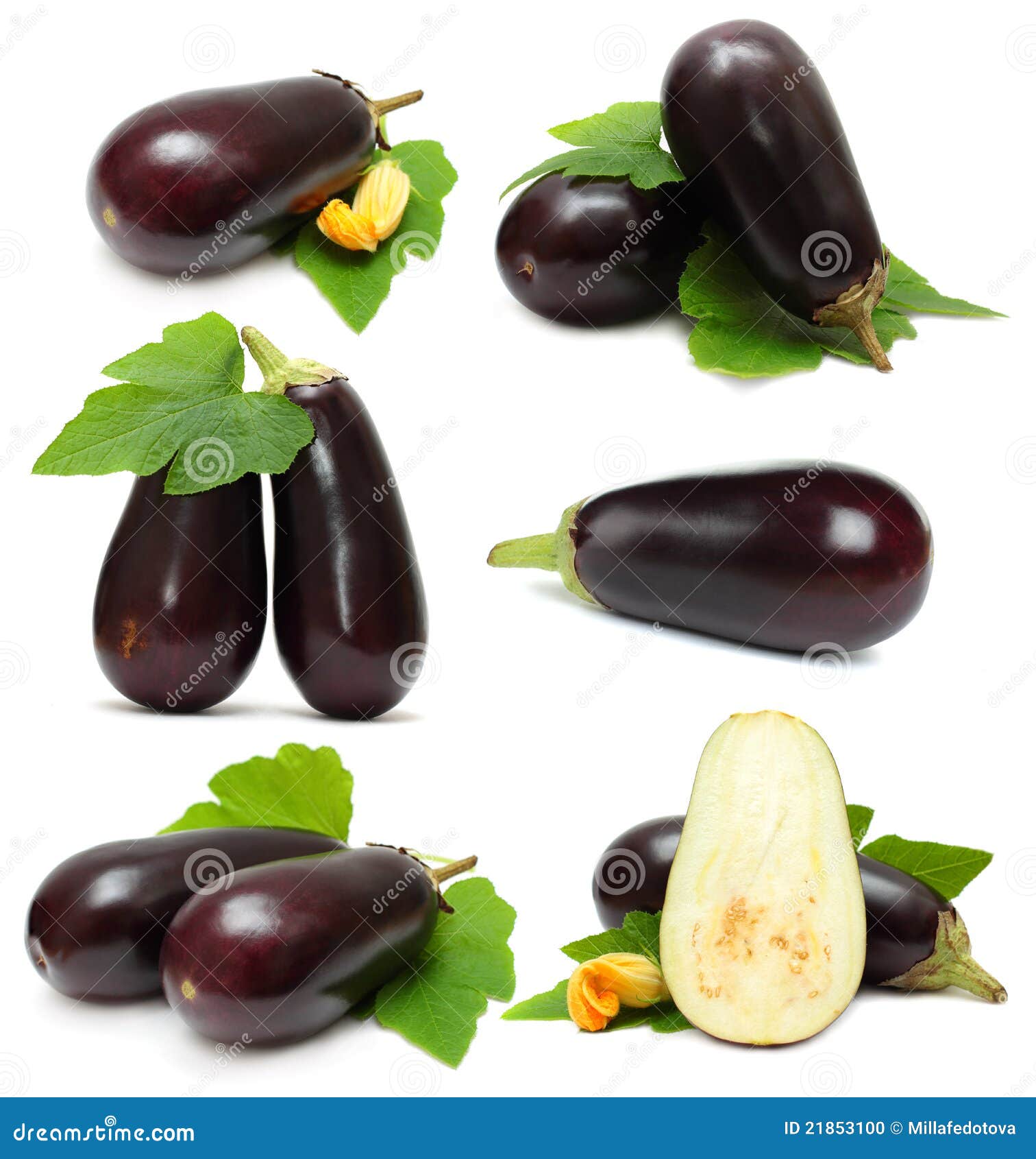 Eggplant Vegetable Stock Photo Image 21853100